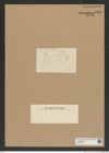 Diatomeae indet. Zeichnungen Sammlung Grunow Nr. 6830 (NHMW-BOT-W0375680)